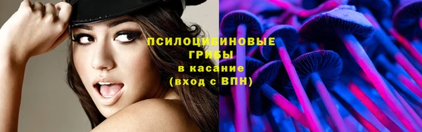 СК Алексеевка
