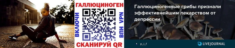 мега ссылки  Пугачёв  Псилоцибиновые грибы Magic Shrooms 
